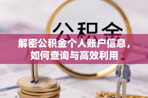 镜湖解密公积金个人账户信息，如何查询与高效利用