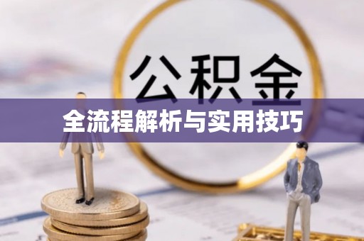 镜湖全流程解析与实用技巧