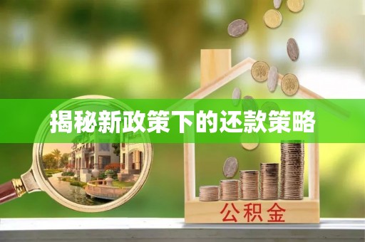 镜湖揭秘新政策下的还款策略