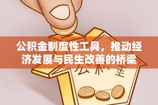 镜湖公积金制度性工具，推动经济发展与民生改善的桥梁