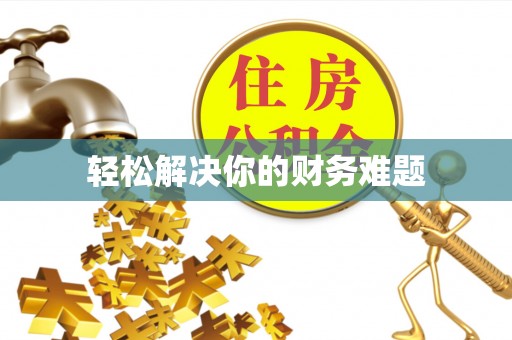 镜湖轻松解决你的财务难题