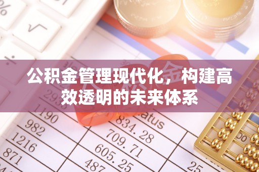 镜湖公积金管理现代化，构建高效透明的未来体系