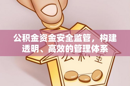镜湖公积金资金安全监管，构建透明、高效的管理体系