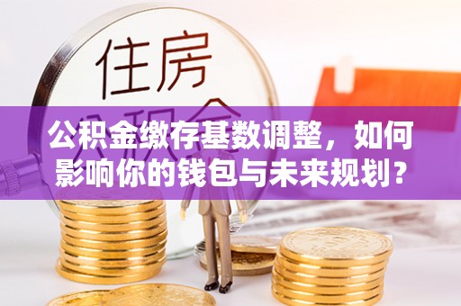 镜湖公积金缴存基数调整，如何影响你的钱包与未来规划？