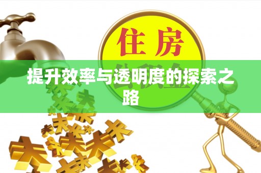 镜湖提升效率与透明度的探索之路