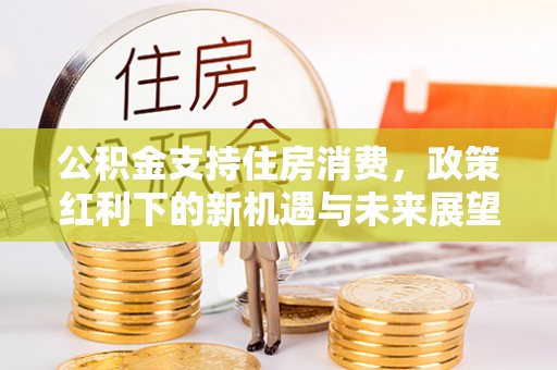 镜湖公积金支持住房消费，政策红利下的新机遇与未来展望