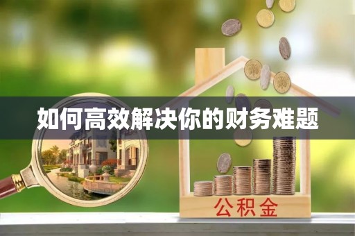 镜湖如何高效解决你的财务难题