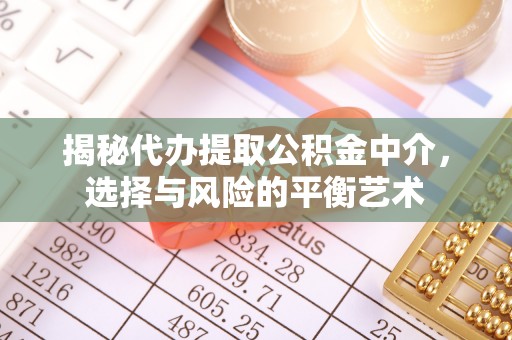 镜湖揭秘代办提取公积金中介，选择与风险的平衡艺术